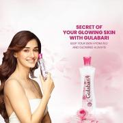 Dabur Gulabari GulabJal 250 ml