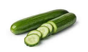 Seedless Cucumber