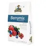 Jewel Farmer Mix - Berry, 200 g