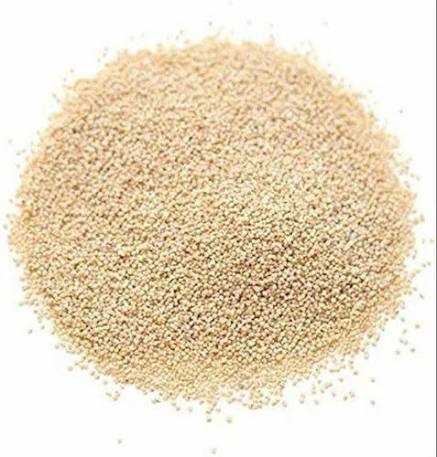Qkart Premium Post Seed 500gm
